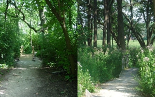 Nature park entrance before(l) and after(r) restoration