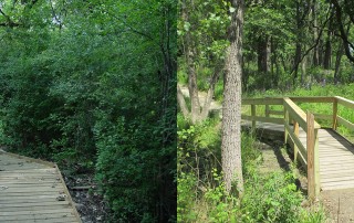 Boardwalk before(l) and after(r) restoration. The area is now full of sunlight and flowers are thriving. Justin G added handrails on the boardwalk to make it safer.