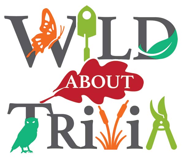 Wild About Trivia event logo