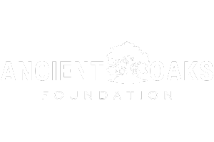 Ancient Oaks Foundation Logo