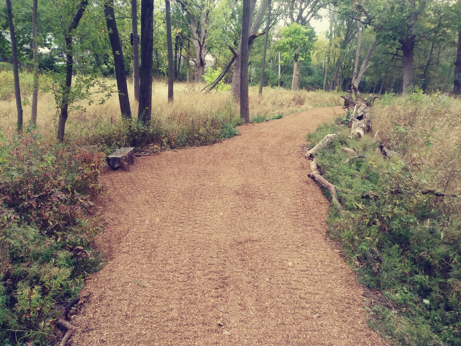 Kuechmann Kove newly layed path new path at Kuechmann Kove