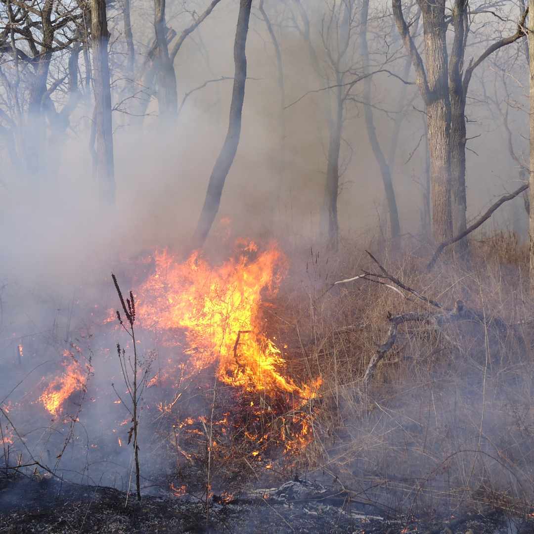 aof fire
