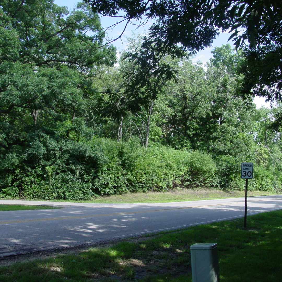 kuechmann kove entrance 2007