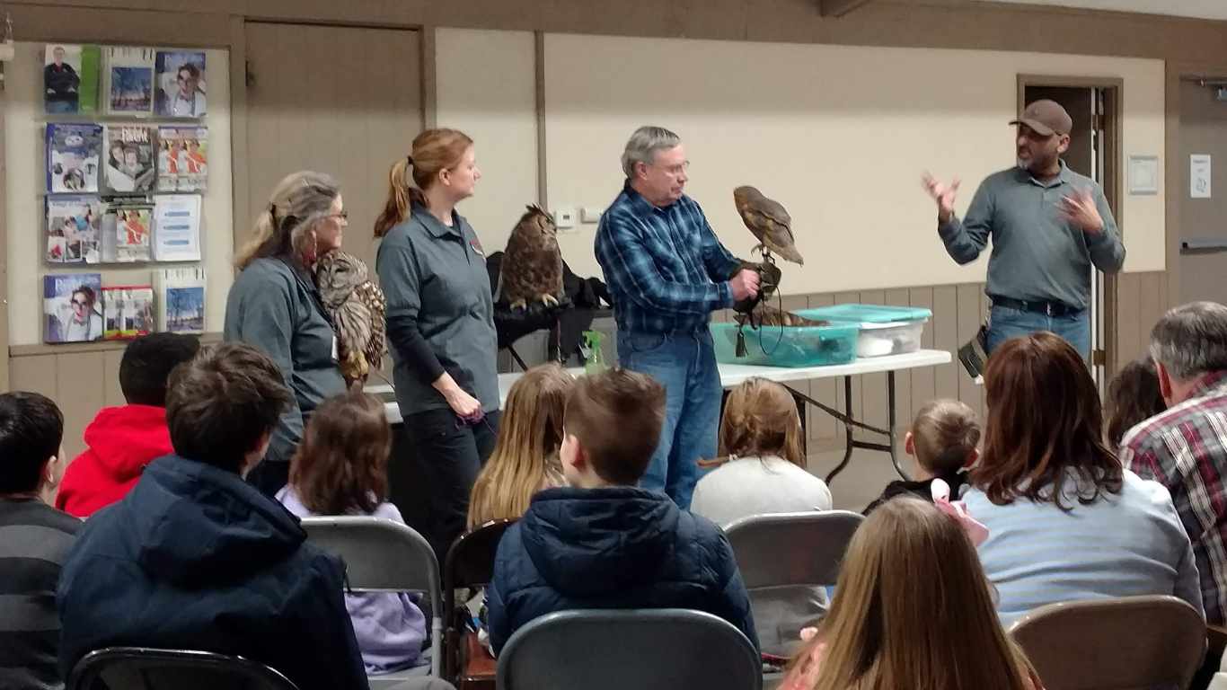 owl demonstration